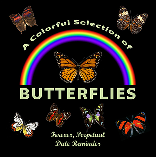 2023 Butterfly reminder cover