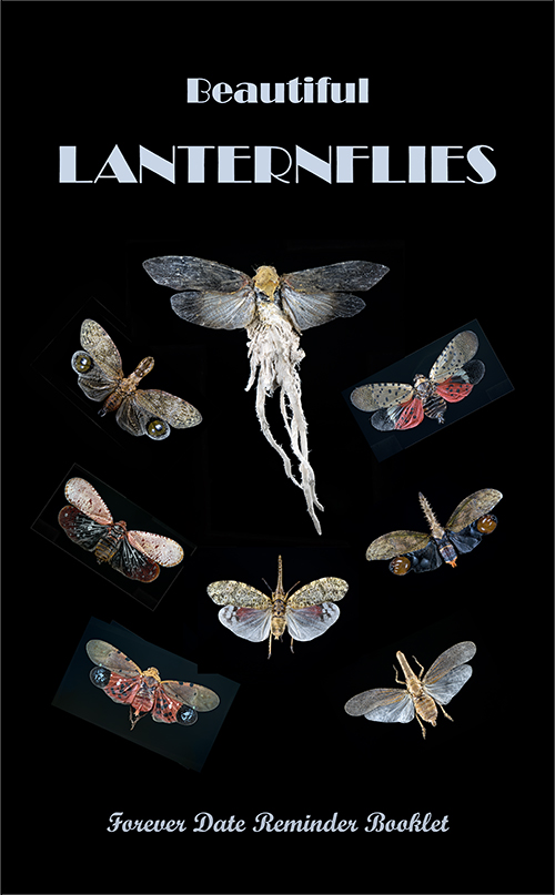 Perpetual Lanternfly reminder front cover