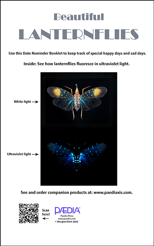 Perpetual Lanternfly reminder rear cover
